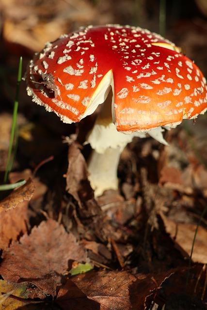 Rizika spojená s gelovými nehty