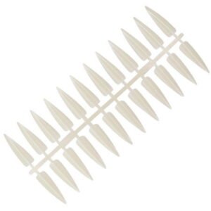 NechtovyRAJ vzorkovník naturálny špicatý 240 ks