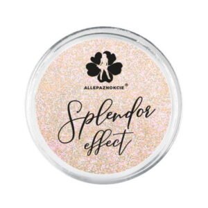 Prášek na nehty Splendor effect 06 2g
